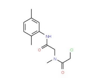 2-chloro-N-{2-[(2,5-dimethylphenyl)amino]-2-oxoethyl}-N-methylacetamide - chemical structure image