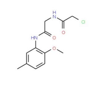 2-chloro-N-{2-[(2-methoxy-5-methylphenyl)amino]-2-oxoethyl}acetamide - chemical structure image