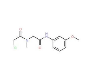 2-chloro-N-{2-[(3-methoxyphenyl)amino]-2-oxoethyl}-N-methylacetamide - chemical structure image