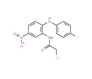 2-chloro-N-{2-[(4-fluorophenyl)amino]-5-nitrophenyl}acetamide - chemical structure image