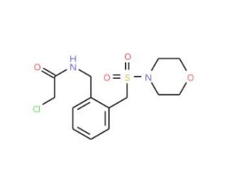 2-chloro-N-{2-[(morpholin-4-ylsulfonyl)methyl]benzyl}acetamide - chemical structure image