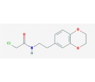 2-chloro-N-[2-(2,3-dihydro-1,4-benzodioxin-6-yl)ethyl]acetamide - chemical structure image