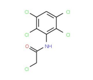 2-chloro-N-(2,3,5,6-tetrachlorophenyl)acetamide (CAS 121806-76-6) - chemical structure image