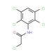 2-chloro-N-(2,3,5,6-tetrachlorophenyl)acetamide (CAS 121806-76-6) - chemical structure image