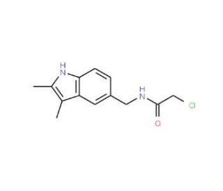 2-Chloro-N-(2,3-dimethyl-1H-indol-5-ylmethyl)-acetamide - chemical structure image