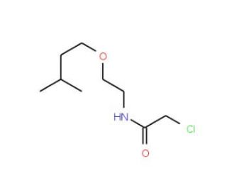 2-chloro-N-[2-(3-methylbutoxy)ethyl]acetamide (CAS 1193389-69-3) - chemical structure image