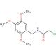 2-chloro-N-(2,4,5-trimethoxybenzyl)acetamide - chemical structure image