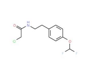 2-chloro-N-{2-[4-(difluoromethoxy)phenyl]ethyl}acetamide - chemical structure image