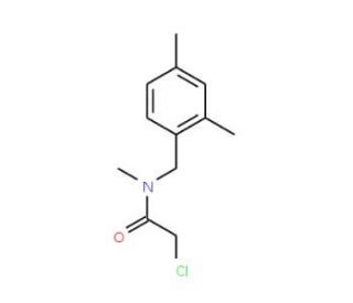 2-chloro-N-(2,4-dimethylbenzyl)-N-methylacetamide - chemical structure image
