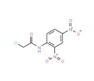 2-Chloro-N-(2,4-dinitro-phenyl)-acetamide (CAS 6271-08-5) - chemical structure image