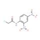 2-Chloro-N-(2,4-dinitro-phenyl)-acetamide (CAS 6271-08-5) - chemical structure image