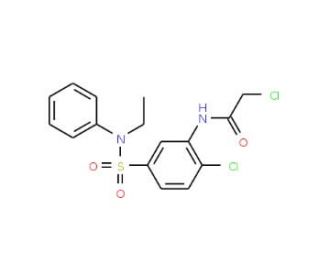 2-Chloro-N-[2-chloro-5-(ethyl-phenyl-sulfamoyl)-phenyl]-acetamide - chemical structure image