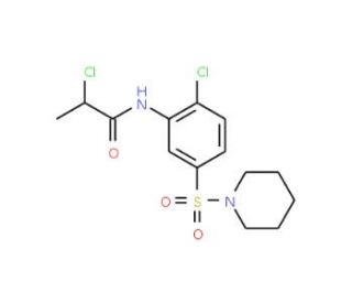 2-Chloro-N-[2-chloro-5-(piperidine-1-sulfonyl)-phenyl]-propionamide - chemical structure image