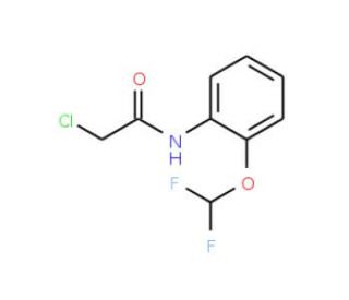 2-Chloro-N-(2-difluoromethoxy-phenyl)-acetamide - chemical structure image