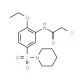 2-chloro-N-[2-ethoxy-5-(piperidin-1-ylsulfonyl)phenyl]acetamide - chemical structure image