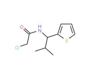 2-chloro-N-(2-methyl-1-thien-2-ylpropyl)acetamide - chemical structure image