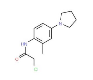 2-chloro-N-(2-methyl-4-pyrrolidin-1-ylphenyl)acetamide - chemical structure image