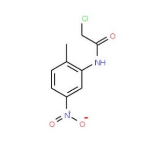 2-chloro-N-(2-methyl-5-nitrophenyl)acetamide (CAS 35588-36-4) - chemical structure image