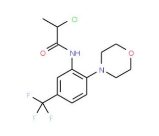 2-chloro-N-[2-morpholin-4-yl-5-(trifluoromethyl)phenyl]propanamide - chemical structure image