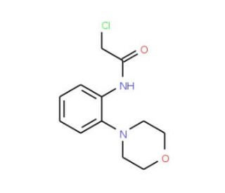 2-Chloro-N-(2-morpholin-4-yl-phenyl)-acetamide (CAS 303151-23-7) - chemical structure image
