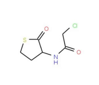 2-Chloro-N-(2-oxo-tetrahydro-thiophen-3-yl)-acetamide - chemical structure image