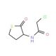 2-Chloro-N-(2-oxo-tetrahydro-thiophen-3-yl)-acetamide - chemical structure image