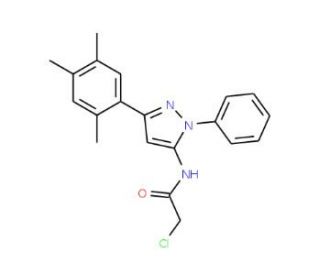 2-Chloro-N-[2-phenyl-5-(2,4,5-trimethyl-phenyl)-2H-pyrazol-3-yl]-acetamide - chemical structure image