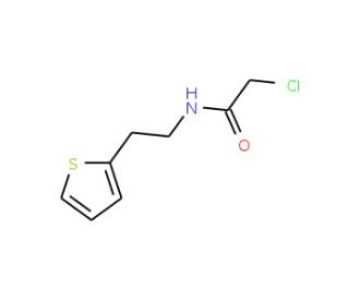 2-chloro-N-(2-thien-2-ylethyl)acetamide (CAS 135709-69-2) - chemical structure image