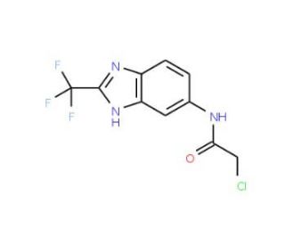2-Chloro-N-(2-trifluoromethyl-1H-benzoimidazol-5-yl)-acetamide - chemical structure image