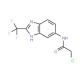 2-Chloro-N-(2-trifluoromethyl-1H-benzoimidazol-5-yl)-acetamide - chemical structure image