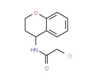 2-chloro-N-3,4-dihydro-2H-chromen-4-ylacetamide (CAS 91089-68-8) - chemical structure image