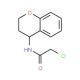 2-chloro-N-3,4-dihydro-2H-chromen-4-ylacetamide (CAS 91089-68-8) - chemical structure image