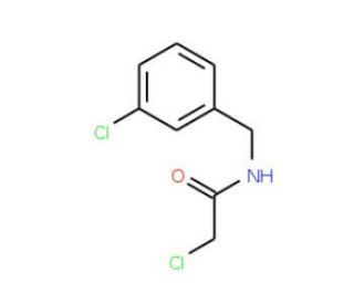 2-chloro-N-(3-chlorobenzyl)acetamide (CAS 99585-87-2) - chemical structure image