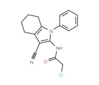 2-chloro-N-(3-cyano-1-phenyl-4,5,6,7-tetrahydro-1H-indol-2-yl)acetamide - chemical structure image