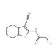 2-Chloro-N-(3-cyano-4,5,6,7-tetrahydro-1-benzothiophen-2-yl)acetamide (CAS 58125-40-9) - chemical structure image
