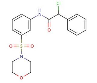 2-Chloro-N-[3-(morpholine-4-sulfonyl)-phenyl]-2-phenyl-acetamide - chemical structure image