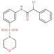 2-Chloro-N-[3-(morpholine-4-sulfonyl)-phenyl]-2-phenyl-acetamide - chemical structure image