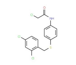 2-Chloro-N-{4-[(2,4-dichlorobenzyl)sulfanyl]-phenyl}acetamide - chemical structure image