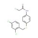 2-Chloro-N-{4-[(2,4-dichlorobenzyl)sulfanyl]-phenyl}acetamide - chemical structure image