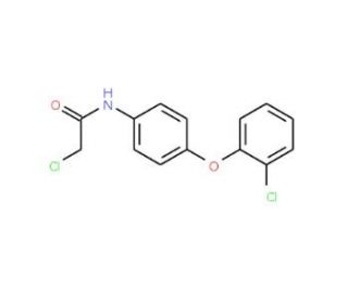 2-chloro-N-[4-(2-chlorophenoxy)phenyl]acetamide - chemical structure image