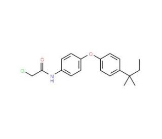 2-Chloro-N-{4-[4-(1,1-dimethyl-propyl)-phenoxy]-phenyl}-acetamide - chemical structure image