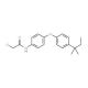 2-Chloro-N-{4-[4-(1,1-dimethyl-propyl)-phenoxy]-phenyl}-acetamide - chemical structure image
