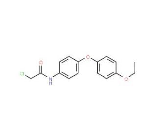 2-chloro-N-[4-(4-ethoxyphenoxy)phenyl]acetamide (CAS 38008-37-6) - chemical structure image