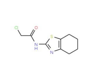 2-Chloro-N-(4,5,6,7-tetrahydro-benzothiazol-2-yl)-acetamide - chemical structure image