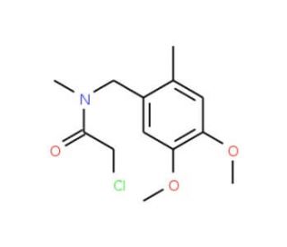 2-chloro-N-(4,5-dimethoxy-2-methylbenzyl)-N-methylacetamide - chemical structure image