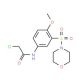 2-Chloro-N-[4-methoxy-2-(morpholine-4-sulfonyl)-phenyl]-acetamide - chemical structure image