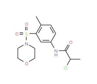 2-chloro-N-[4-methyl-3-(morpholin-4-ylsulfonyl)phenyl]propanamide - chemical structure image