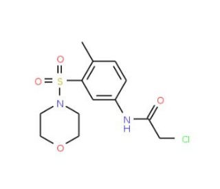 2-Chloro-N-[4-methyl-3-(morpholine-4-sulfonyl)-phenyl]-acetamide - chemical structure image