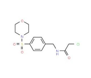 2-chloro-N-[4-(morpholin-4-ylsulfonyl)benzyl]acetamide - chemical structure image