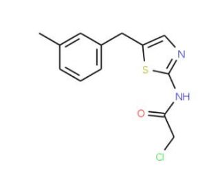 2-chloro-N-[5-(3-methylbenzyl)-1,3-thiazol-2-yl]acetamide - chemical structure image